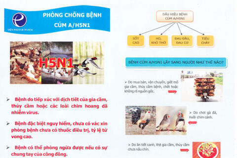 Chung tay bảo vệ gia đình & cộng đồng trước nguy cơ nhiễm virus cúm "A/H5N1"