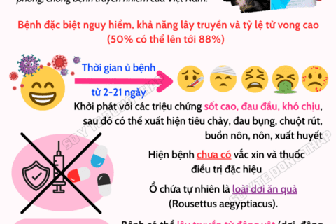 Tăng cường phòng, chống dịch bệnh Mác-bớc